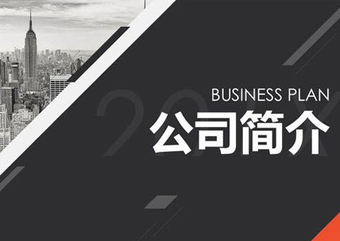 上海漂视网络股份有限公司公司简介